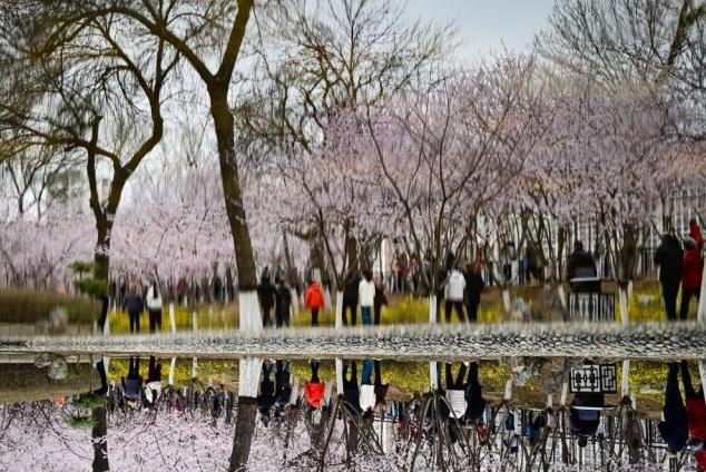 3.20旅游 风景图4.jpg