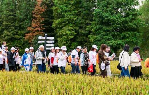 10.30国寿图1.jpg 10.30国寿图1.jpg